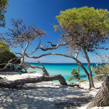 T2 Pour 4 Pers, Charmante Residence Avec Piscine Oletta  Bagian luar foto
