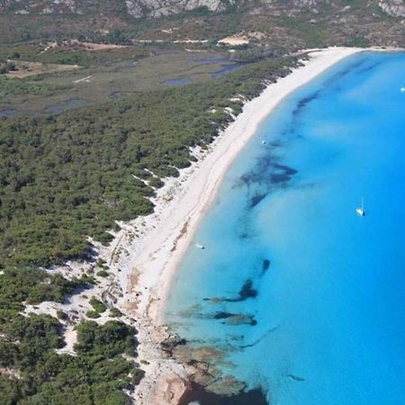 T2 Pour 4 Pers, Charmante Residence Avec Piscine Oletta  Bagian luar foto