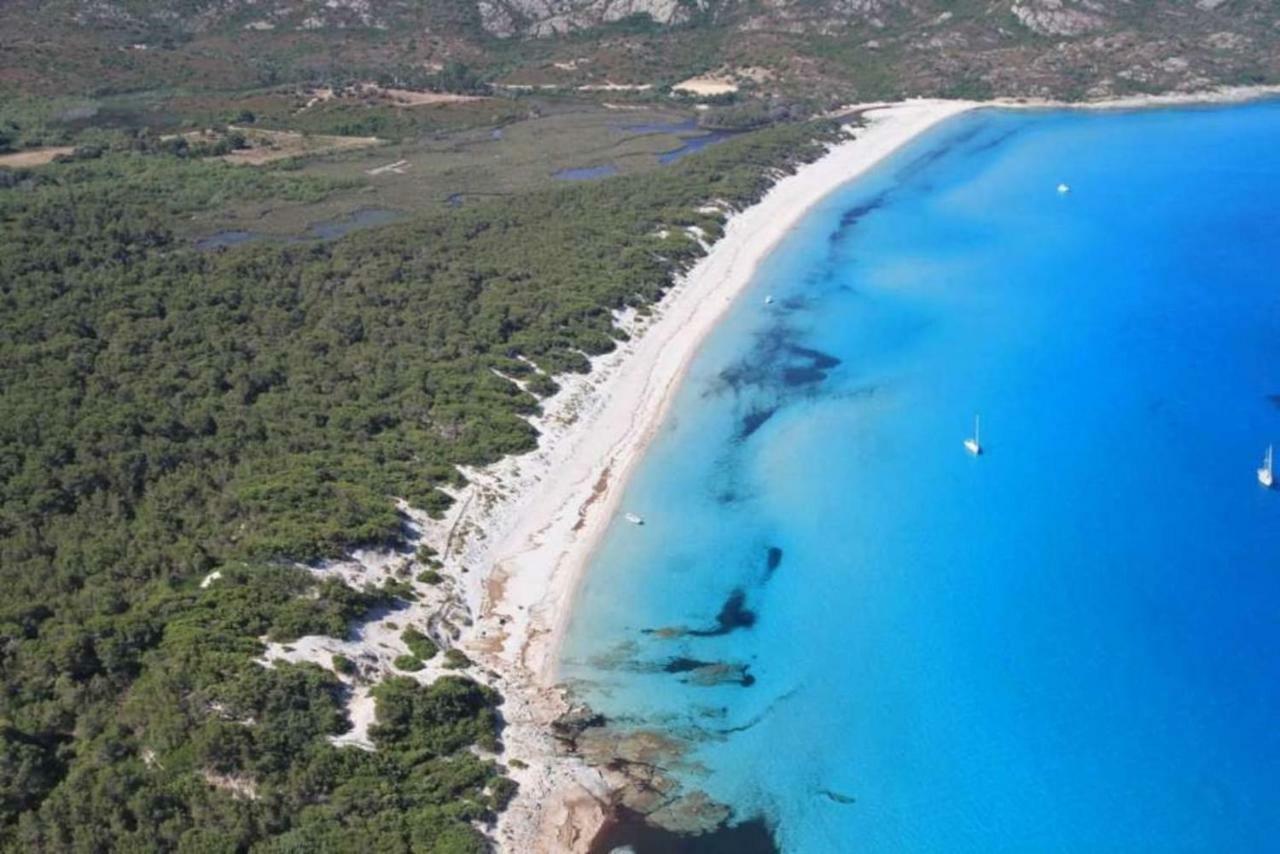T2 Pour 4 Pers, Charmante Residence Avec Piscine Oletta  Bagian luar foto